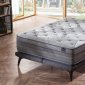 Pervade Mattress by Istikbal w/Options