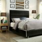 Gillian Bed CM7262BK in Black & Chrome Accents