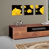 Walnut Finish Modern Elegant Entertainment TV Center