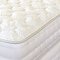 Terra 12" Tight Top Mattress w/Gel Memory Foam DM5100 w/Options