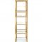 Lecanga Bookshelf 92480 in Gold & Glass by Acme