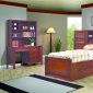 Rich Walnut Finish Youth Bedroom w/Chest Bed