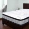 Organic 14" Orthopedic Mattress SS571003 by Spectra