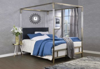 Raegan Bed 22670 in Antique Brass & Gray Velvet by Acme [AMB-22670-Raegan]