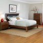 Walnut Finish Contemporary Bedroom with Platform Bed