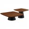 Eason Nesting Coffee Table 2Pc Set 710010 by Coaster