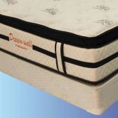 7002 Orthopedic 12" Mattress by Dreamwell w/Options