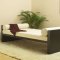 Cappuccino Finish Modern Day Bed