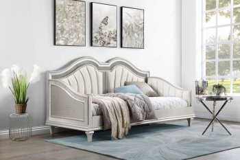 Evangeline Daybed 360121 in Silver Oak by Coaster [CRKB-360121 Evangeline]