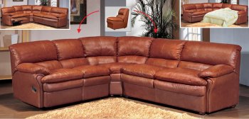 Sectional Sofa AESS-8160LBR [AESS-8160LBR]