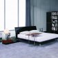 Black Lacquer Finish Contemporary Bedroom Set w/Curved Headboard