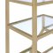 Lecanga Bookshelf 92480 in Gold & Glass by Acme