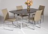 Boat Shape Silk Screen Glass Top Modern 5Pc Dining Set