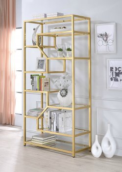 Lecanga Bookshelf 92480 in Gold & Glass by Acme [AMBC-92480-Lecanga]