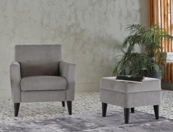 Theo Accent Chair & Ottoman in Gray Fabric by Bellona [IKAC-Theo Gray]