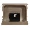 Danae Fireplace AC01618 in Antique Silver & Gold by Acme