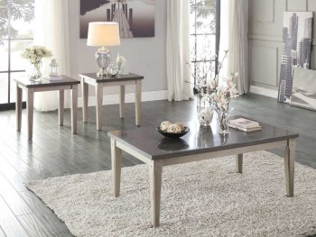 Mendel 5280 Coffee Table 3Pc Set in Grey by Homelegance [HECT-5280 Mendel]