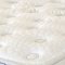 Alyssum III 12" Tight Top Mattress w/Gel Memory Foam DM1570