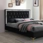 Rowan Upholstered Bed 28990 in Black Fabric by Acme