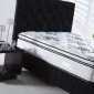 Reform Orthopedic Mattress by Sunset w/Optional Box Spring