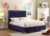 Hampton Upholstered Bed in Navy Velvet Fabric w/Options