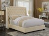 Pissarro Upholstered Bed 300715 in Cream Velvet by Coaster