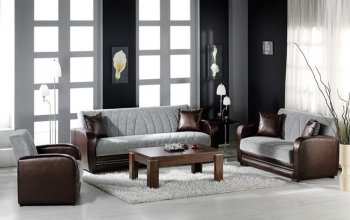 Elegant Two-Tone Living Room with Sleeper Sofa & Storage [IKSB-SYDNEY-Ezgi Grey]