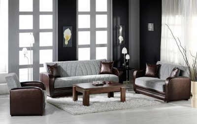 Elegant Two-Tone Living Room with Sleeper Sofa & Storage