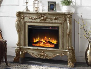 Dresden Fireplace AC01308 in Gold Patina by Acme [AMFP-AC01308 Dresden]