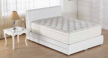 Sunset Plush Mattress by Istikbal w/Options [IKMA-Sunset Plush]