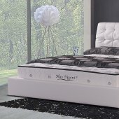 2845 Bed in White Leatherette by Soho Concepts