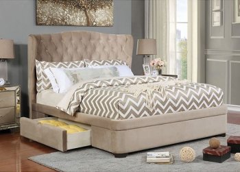 Aoife Storage Bed CM7544 in Taupe Velvet-Like Fabric [FAB-CM7544-Aoife]