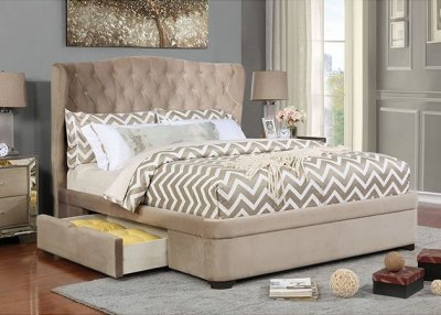 Aoife Storage Bed CM7544 in Taupe Velvet-Like Fabric