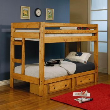 460243 Wrangle Hill Bunk Bed in Amber Wash by Coaster [CRKB-460243 Wrangle Hill]