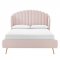 Lana Upholstered Platform Queen Bed in Pink Velvet by Modway