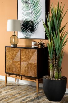 Zira Accent Cabinet 953496 Brown & Antique Gold by Coaster