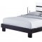 Catalina Bedroom in White & Wenge w/Platform Bed by Global