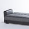 Sidney Bolzoni Gray Sofa Bed & Loveseat Set by Mondi