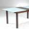 Dark Walnut Modern Glass Top Dinning Table w/Wooden Inlay