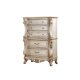 Gorsedd Chest 27446 in Antique White by Acme